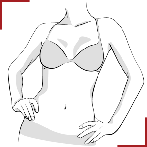 Illustration of woman's breasts